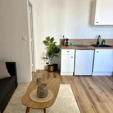 Le Breizh -t2 En Centre Appartamento *
